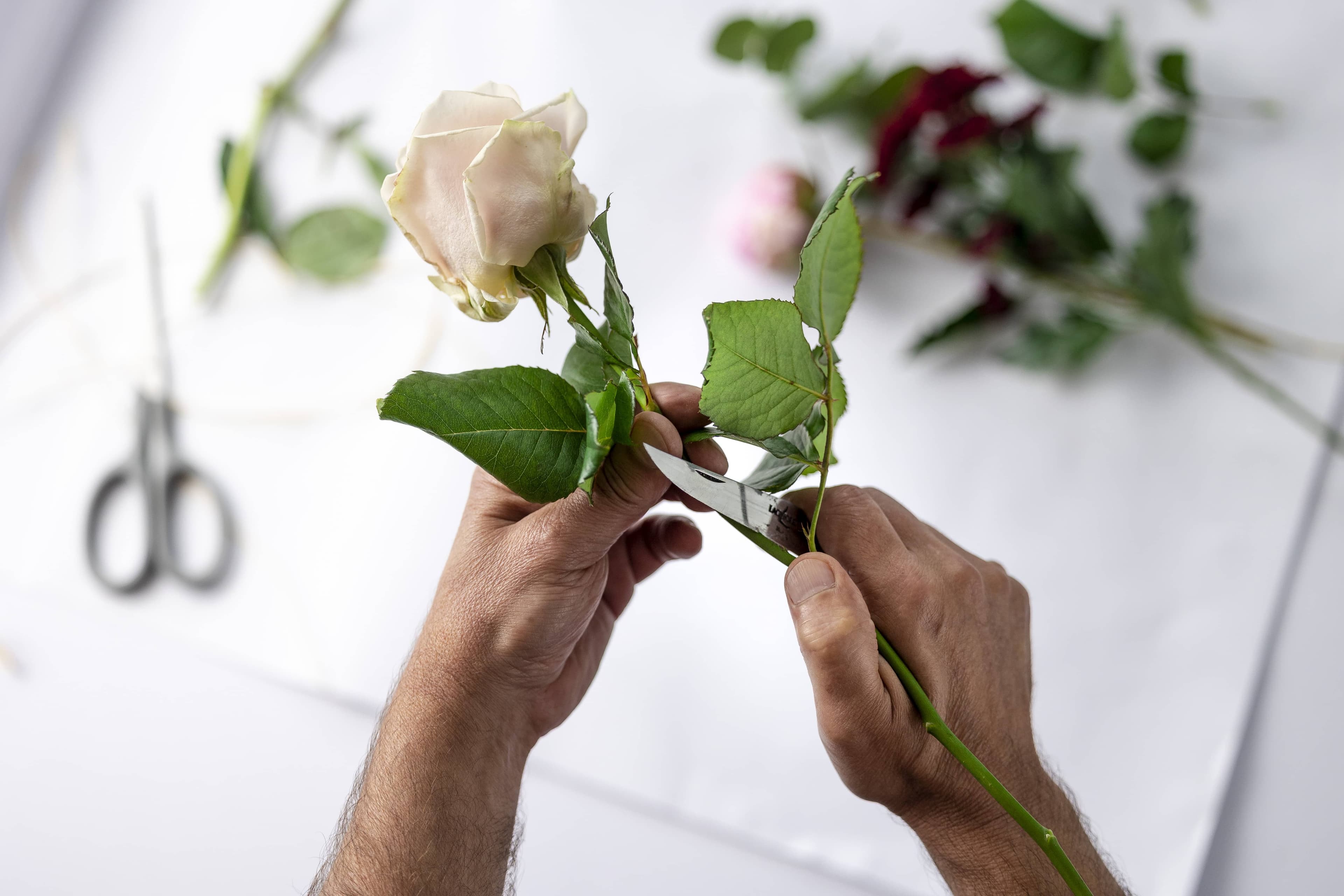 Métiers de l'art floral : explorez les différentes carrières dans les arts décoratifs.