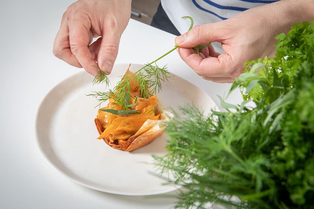 Tout savoir sur le métier de cuisinier spécialisé dans le végétal