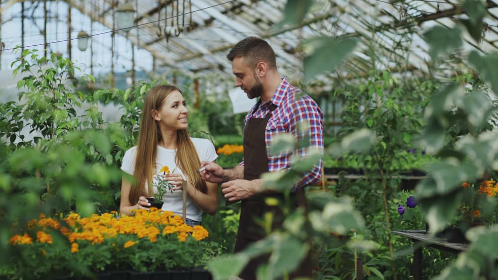 Conseiller(ère) de vente en jardinerie