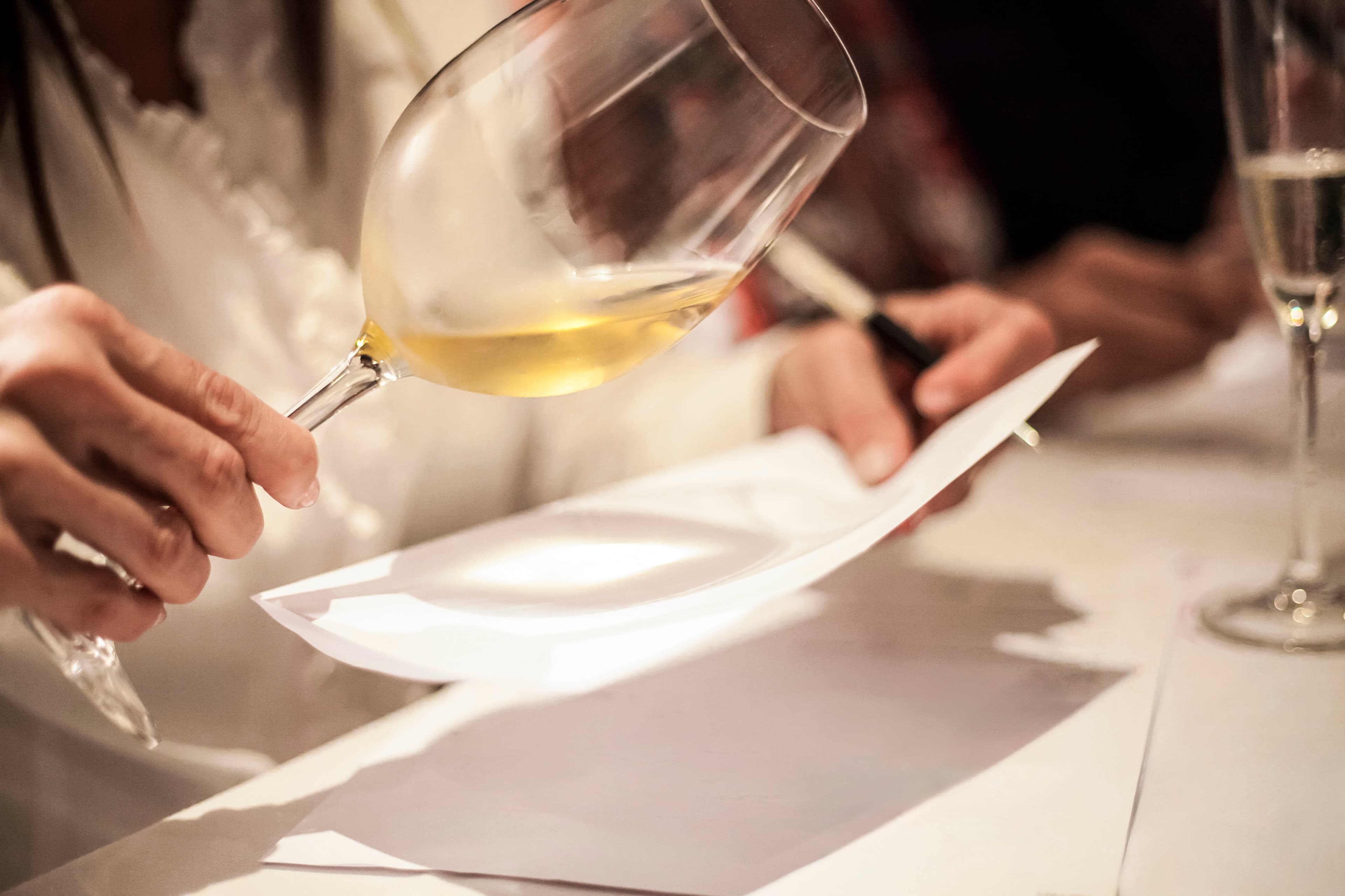 Description d'un vin avec un vocabulaire adapté