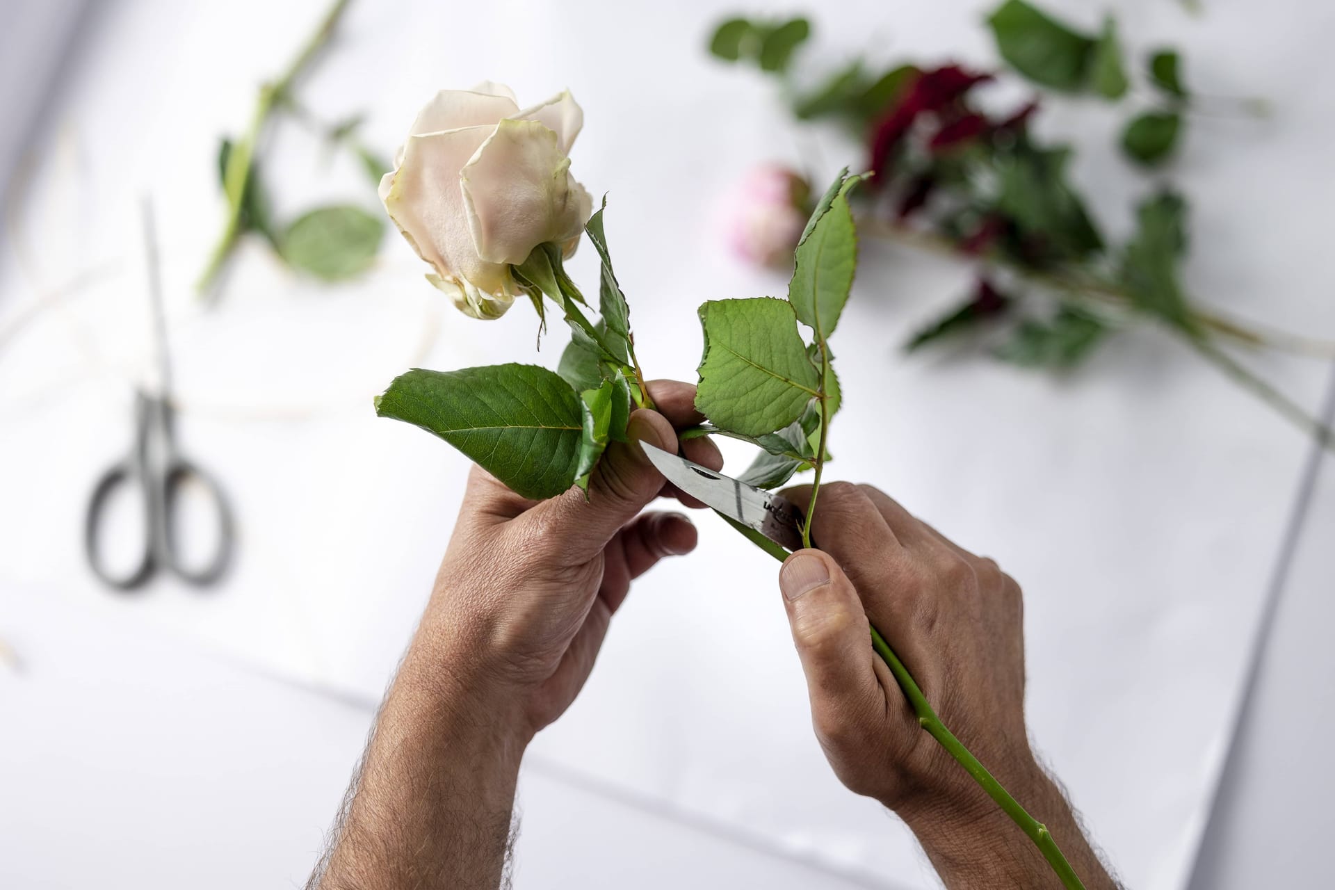 Métiers de l'art floral : explorez les différentes carrières dans les arts décoratifs.