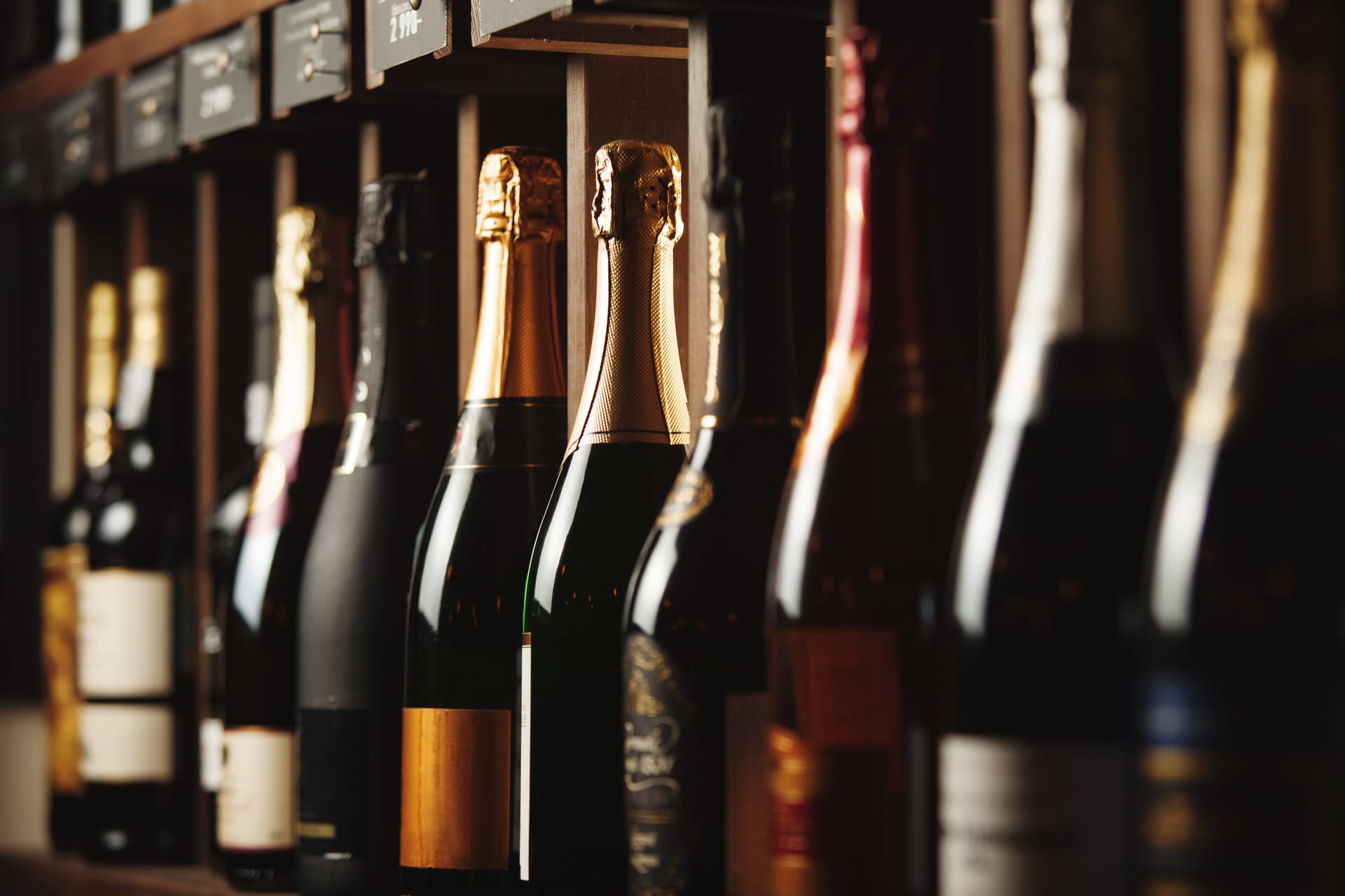 Comparaison de différents vins
